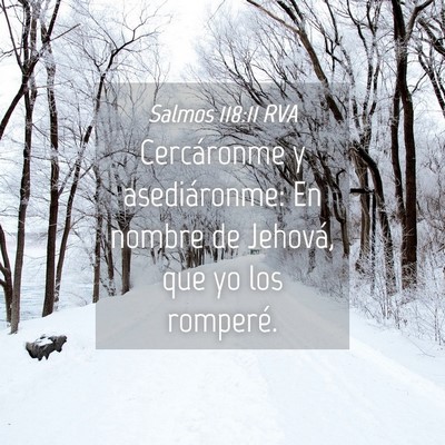 Picture 04 - Salmos 118:11 RVA - Cercáronme y asediáronme: En nombre de Jehová, - Bible Verse Picture
