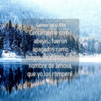 Picture 04 - Salmos 118:12 RVA - Cercáronme como abejas; fueron apagados como - Bible Verse Picture