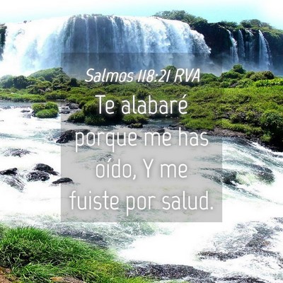 Picture 04 - Salmos 118:21 RVA - Te alabaré porque me has oído, Y me fuiste por - Bible Verse Picture