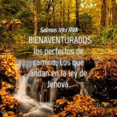 Picture 04 - Salmos 119:1 RVA - BIENAVENTURADOS los perfectos de camino; Los que - Bible Verse Picture