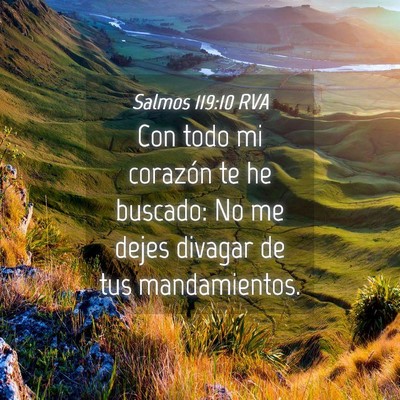 Picture 04 - Salmos 119:10 RVA - Con todo mi corazón te he buscado: No me dejes - Bible Verse Picture