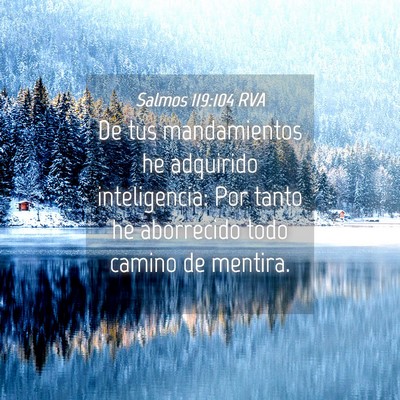 Picture 04 - Salmos 119:104 RVA - De tus mandamientos he adquirido inteligencia: - Bible Verse Picture