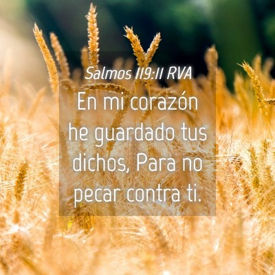 Picture 04 - Salmos 119:11 RVA - En mi corazón he guardado tus dichos, Para no - Bible Verse Picture