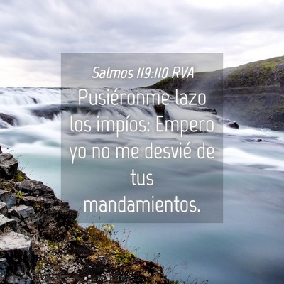 Picture 04 - Salmos 119:110 RVA - Pusiéronme lazo los impíos: Empero yo no me - Bible Verse Picture