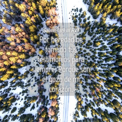 Picture 04 - Salmos 119:111 RVA - Por heredad he tomado tus testimonios para - Bible Verse Picture