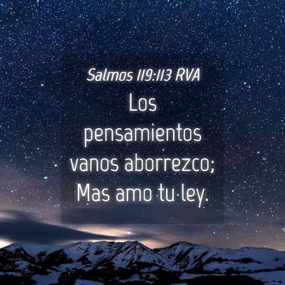 Picture 04 - Salmos 119:113 RVA - Los pensamientos vanos aborrezco; Mas amo tu - Bible Verse Picture