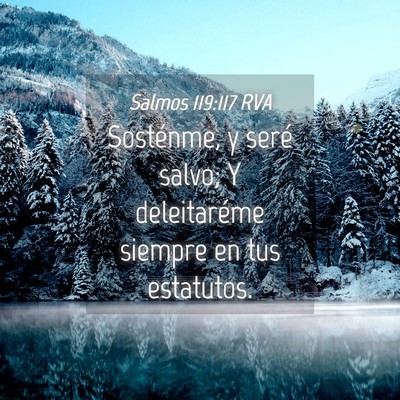 Picture 04 - Salmos 119:117 RVA - Sosténme, y seré salvo; Y deleitaréme siempre - Bible Verse Picture