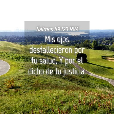 Picture 04 - Salmos 119:123 RVA - Mis ojos desfallecieron por tu salud, Y por el - Bible Verse Picture