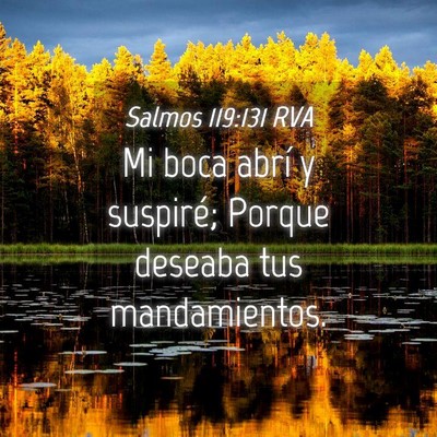 Picture 04 - Salmos 119:131 RVA - Mi boca abrí y suspiré; Porque deseaba tus - Bible Verse Picture
