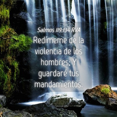 Picture 04 - Salmos 119:134 RVA - Redímeme de la violencia de los hombres; Y - Bible Verse Picture