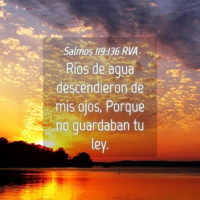 Picture 04 - Salmos 119:136 RVA - Ríos de agua descendieron de mis ojos, Porque no - Bible Verse Picture