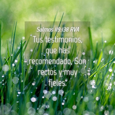 Picture 04 - Salmos 119:138 RVA - Tus testimonios, que has recomendado, Son rectos - Bible Verse Picture