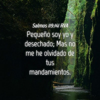 Picture 04 - Salmos 119:141 RVA - Pequeño soy yo y desechado; Mas no me he - Bible Verse Picture