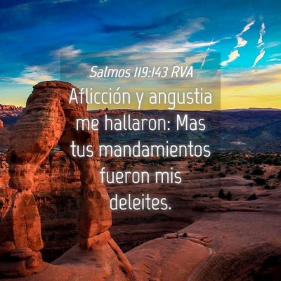 Picture 04 - Salmos 119:143 RVA - Aflicción y angustia me hallaron: Mas tus - Bible Verse Picture