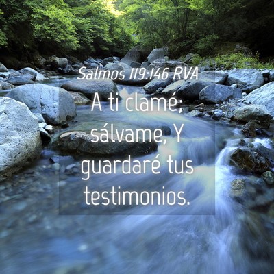 Picture 04 - Salmos 119:146 RVA - A ti clamé; sálvame, Y guardaré tus - Bible Verse Picture
