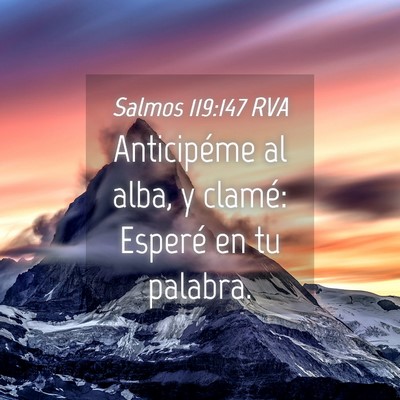 Picture 04 - Salmos 119:147 RVA - Anticipéme al alba, y clamé: Esperé en tu - Bible Verse Picture