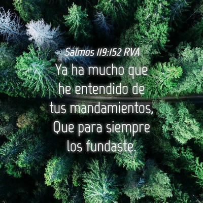 Picture 04 - Salmos 119:152 RVA - Ya ha mucho que he entendido de tus mandamientos, - Bible Verse Picture