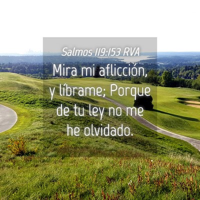 Picture 04 - Salmos 119:153 RVA - Mira mi aflicción, y líbrame; Porque de tu ley - Bible Verse Picture