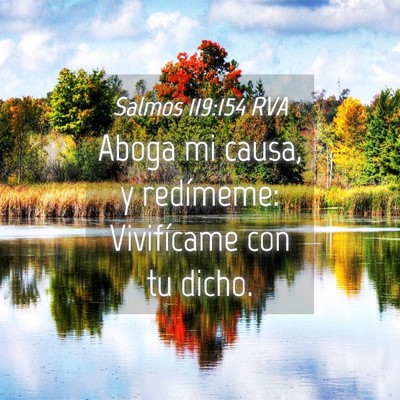 Picture 04 - Salmos 119:154 RVA - Aboga mi causa, y redímeme: Vivifícame con tu - Bible Verse Picture