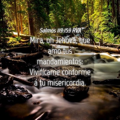 Picture 04 - Salmos 119:159 RVA - Mira, oh Jehová, que amo tus mandamientos: - Bible Verse Picture
