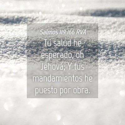 Picture 04 - Salmos 119:166 RVA - Tu salud he esperado, oh Jehová; Y tus - Bible Verse Picture