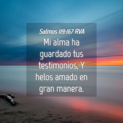Picture 04 - Salmos 119:167 RVA - Mi alma ha guardado tus testimonios, Y helos - Bible Verse Picture