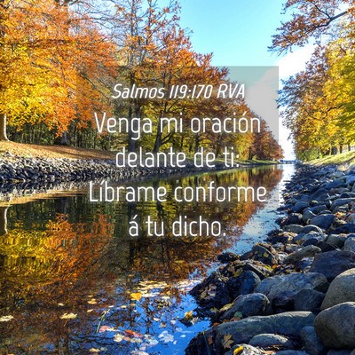 Picture 04 - Salmos 119:170 RVA - Venga mi oración delante de ti: Líbrame - Bible Verse Picture