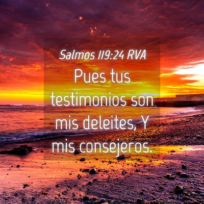 Picture 04 - Salmos 119:24 RVA - Pues tus testimonios son mis deleites, Y mis - Bible Verse Picture