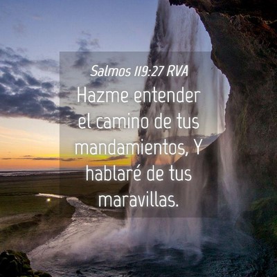 Picture 04 - Salmos 119:27 RVA - Hazme entender el camino de tus mandamientos, Y - Bible Verse Picture
