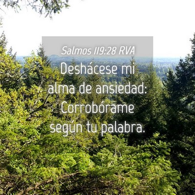 Picture 04 - Salmos 119:28 RVA - Deshácese mi alma de ansiedad: Corrobórame - Bible Verse Picture