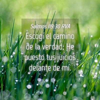 Picture 04 - Salmos 119:30 RVA - Escogí el camino de la verdad; He puesto tus - Bible Verse Picture