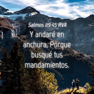 Picture 04 - Salmos 119:45 RVA - Y andaré en anchura, Porque busqué tus - Bible Verse Picture
