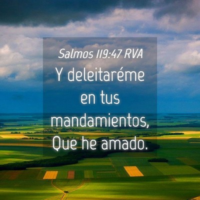 Picture 04 - Salmos 119:47 RVA - Y deleitaréme en tus mandamientos, Que he - Bible Verse Picture