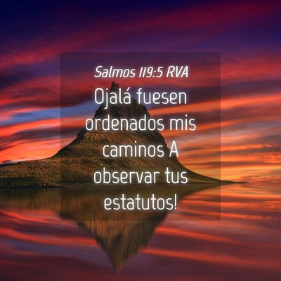 Picture 04 - Salmos 119:5 RVA - Ojalá fuesen ordenados mis caminos A observar - Bible Verse Picture