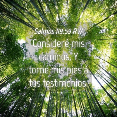 Picture 04 - Salmos 119:59 RVA - Consideré mis caminos, Y torné mis pies á tus - Bible Verse Picture