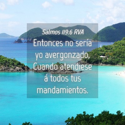 Picture 04 - Salmos 119:6 RVA - Entonces no sería yo avergonzado, Cuando - Bible Verse Picture