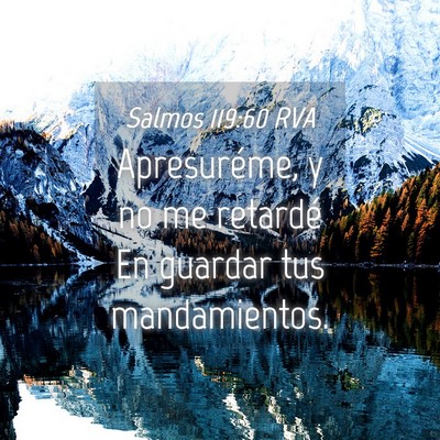 Picture 04 - Salmos 119:60 RVA - Apresuréme, y no me retardé En guardar tus - Bible Verse Picture