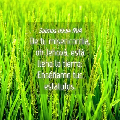 Picture 04 - Salmos 119:64 RVA - De tu misericordia, oh Jehová, está llena la - Bible Verse Picture