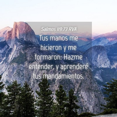 Picture 04 - Salmos 119:73 RVA - Tus manos me hicieron y me formaron: Hazme - Bible Verse Picture