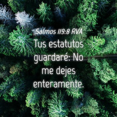 Picture 04 - Salmos 119:8 RVA - Tus estatutos guardaré: No me dejes - Bible Verse Picture