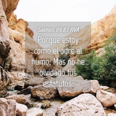 Picture 04 - Salmos 119:83 RVA - Porque estoy como el odre al humo; Mas no he - Bible Verse Picture