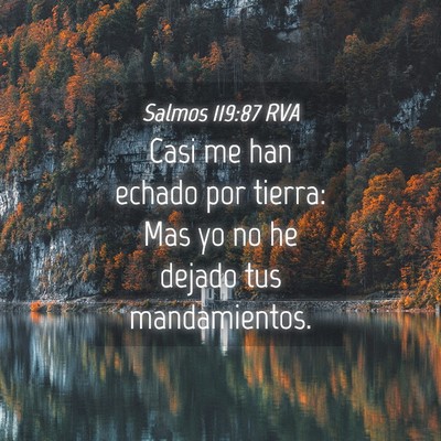 Picture 04 - Salmos 119:87 RVA - Casi me han echado por tierra: Mas yo no he - Bible Verse Picture