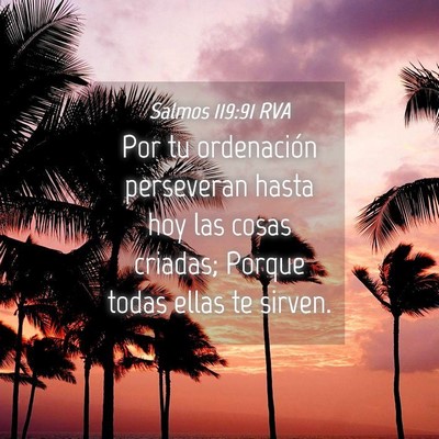 Picture 04 - Salmos 119:91 RVA - Por tu ordenación perseveran hasta hoy las cosas - Bible Verse Picture