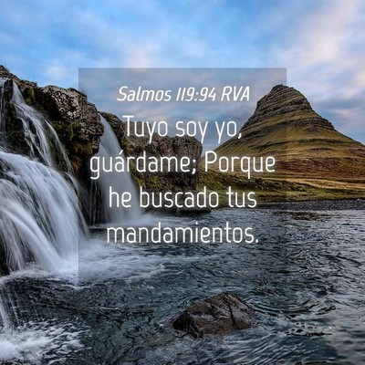 Picture 04 - Salmos 119:94 RVA - Tuyo soy yo, guárdame; Porque he buscado tus - Bible Verse Picture