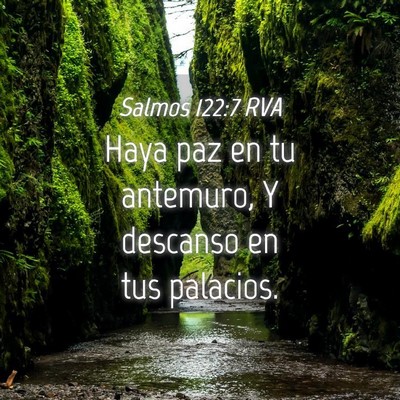 Picture 04 - Salmos 122:7 RVA - Haya paz en tu antemuro, Y descanso en tus - Bible Verse Picture