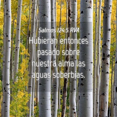 Picture 04 - Salmos 124:5 RVA - Hubieran entonces pasado sobre nuestra alma las - Bible Verse Picture