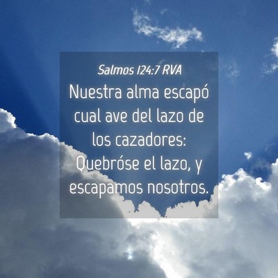 Picture 04 - Salmos 124:7 RVA - Nuestra alma escapó cual ave del lazo de los - Bible Verse Picture