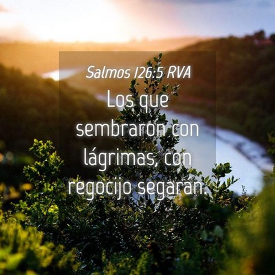 Picture 04 - Salmos 126:5 RVA - Los que sembraron con lágrimas, con regocijo - Bible Verse Picture