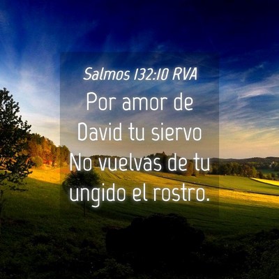 Picture 04 - Salmos 132:10 RVA - Por amor de David tu siervo No vuelvas de tu - Bible Verse Picture