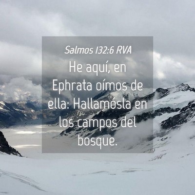 Picture 04 - Salmos 132:6 RVA - He aquí, en Ephrata oímos de ella: Hallamósla - Bible Verse Picture